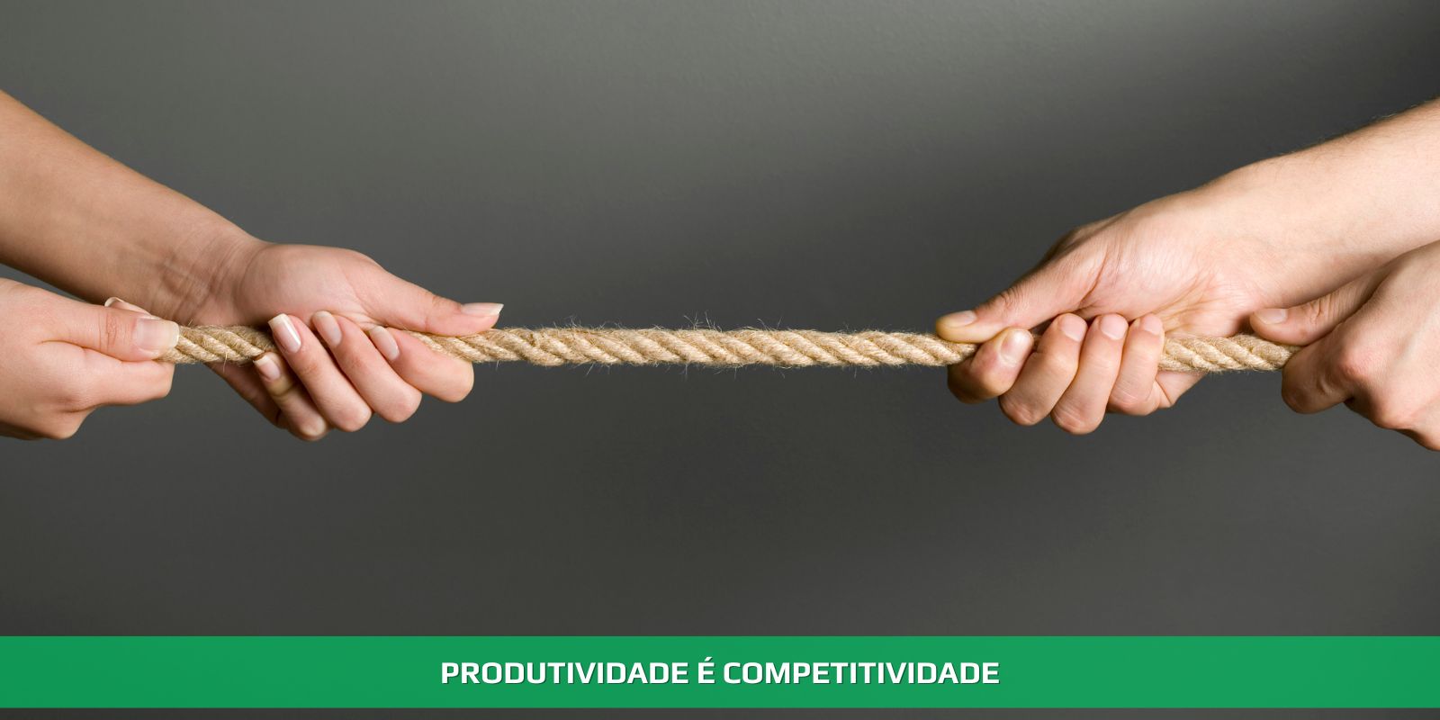 Figura 4 - PRODUTIVIDADE. O ETERNO DESAFIO